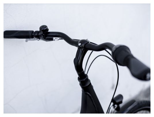 Trek District 1 Equiped Lowstep Shimano Nexus 7V Matte Dnister Black 2023 City Bike