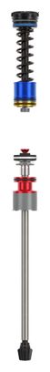 RockShox Isolator RC Domain C1+