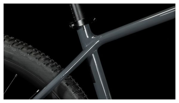 Cube Reaction C:62 Pro MTB rígida Shimano Deore/XT 12S 29'' Gris Metal 2023