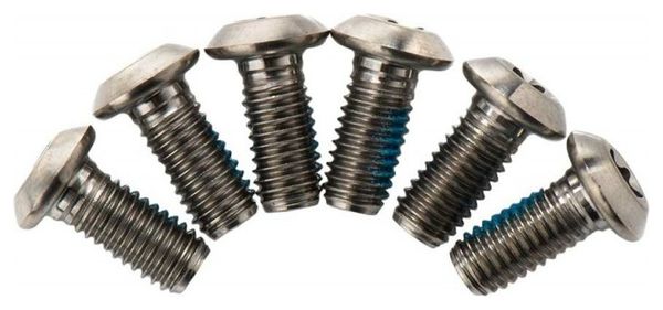 Kit de 6 Vis de Disque en Titane TRP Ti Rotor Bolts T25