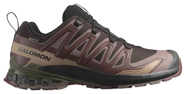 Zapatillas de trail Salomon Xa Pro 3D V9 Gore-Tex Marrón/Negro