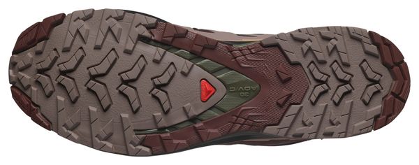 Salomon Xa Pro 3D V9 Gore-Tex Trailschoenen Bruin/Zwart