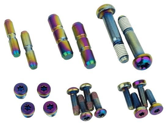 Sram G2 ULT / RSC Oil Slick Brake Lever Bolt Kit