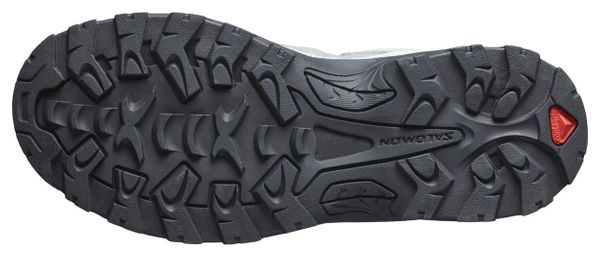 Salomon Quest Rove GTX Wandelschoenen Grijs
