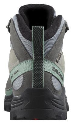 Salomon Quest Rove GTX Wandelschoenen Grijs