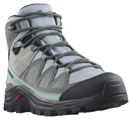 Salomon Quest Rove GTX Wandelschoenen Grijs