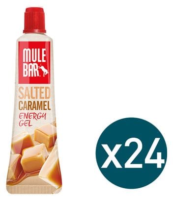 Set of 24 Mulebar Energy Gel Salted Caramel 24x37g