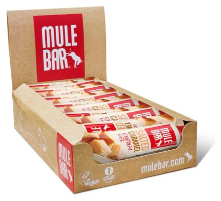 Set of 24 Mulebar Energy Gel Salted Caramel 24x37g