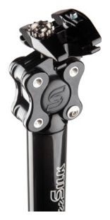 Cane Creek eeSilk Carbon verende zadelpen (20mm) Zwart