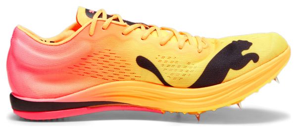 Chaussures Athlétisme evoSpeed Long Distance Elite Orange / Rouge