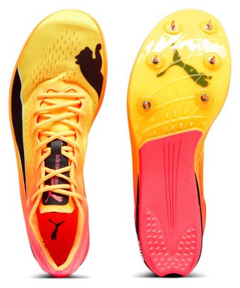 Zapatillas de atletismo evoSpeed Long Distance Elite Naranja / Rojo