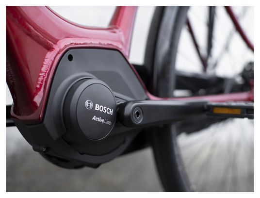 Trek District + 4 Lowstep 400wh Electric City Bike Shimano Nexus 7V Rage Red 2021