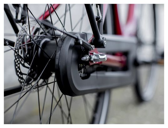 Vélo de Ville Électrique Trek District+ 4 Lowstep 400wh Shimano Nexus 7V Rage Red 2022