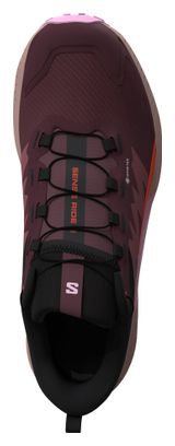 Chaussures Trail Salomon Sense Ride 5 Gore-Tex Rose/Violet Femme