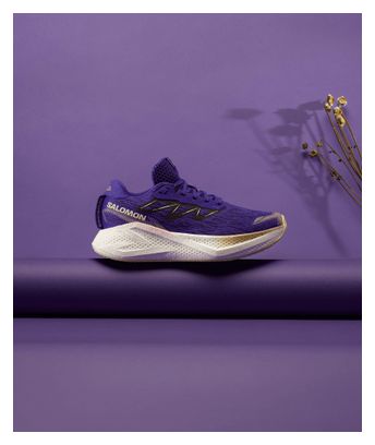 Scarpe da corsa Salomon Aero Glide 4 Viola Donna