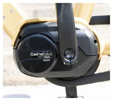 Reine bike Elektrisches Citybike Niedriger Rahmen Connected Enviolo City CT 504Wh 26'' Gold 2022