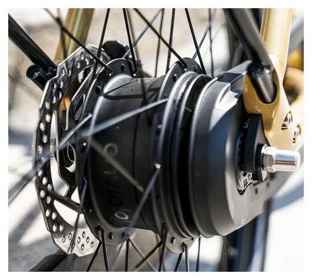 Reine bike Elektrisches Citybike Niedriger Rahmen Connected Enviolo City CT 504Wh 26'' Gold 2022