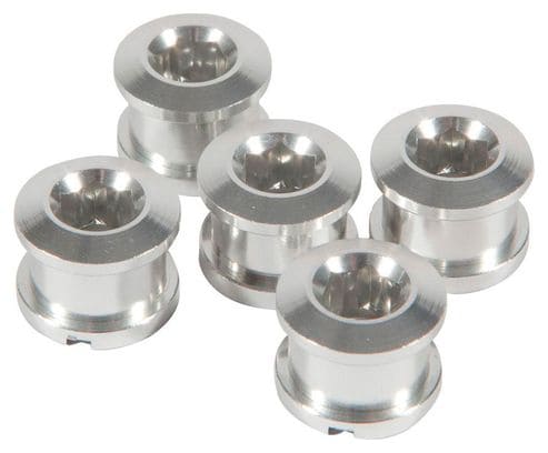 Set van 5 INSIGHT schroeven voor 6,5 x 4mm aluminium kroon Zilver