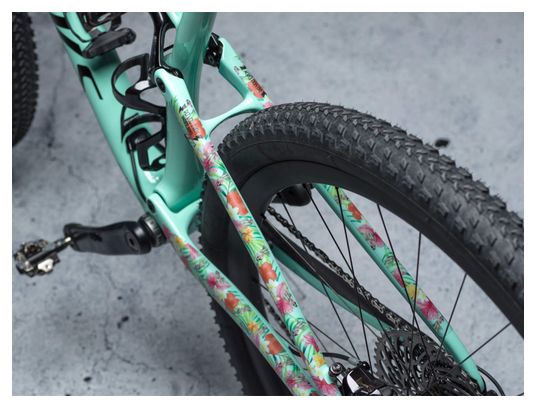 Kit de Protection Cadre Dyedbro Frame Hawaii 2.0 Multi-Couleurs