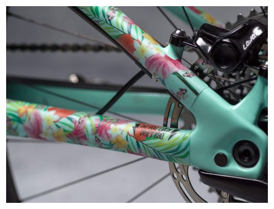 Kit de Protection Cadre Dyedbro Frame Hawaii 2.0 Multi-Couleurs