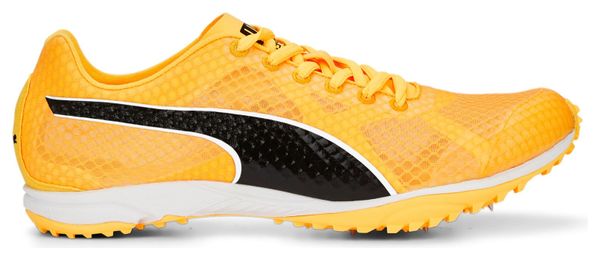 Chaussures Athlétisme Puma evoSpeed XC Haraka 7 Orange / Noir