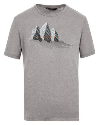 Salewa Lines Graphic Dry Grey T-Shirt