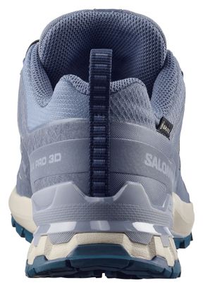 Zapatillas Trail Salomon XA Pro 3D v9 GTX Azul Mujer