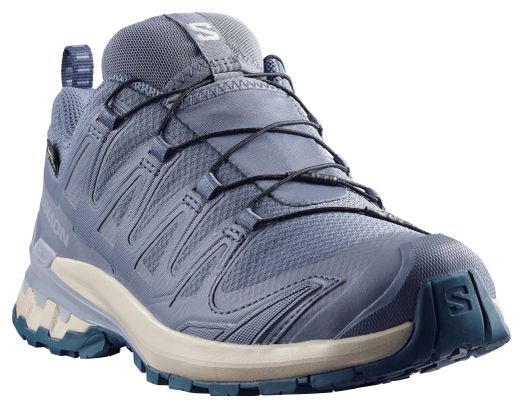 Zapatillas Trail Salomon XA Pro 3D v9 GTX Azul Mujer