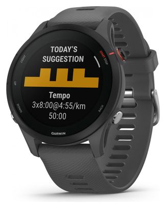 Montre de Sport Garmin Forerunner 255 Gris