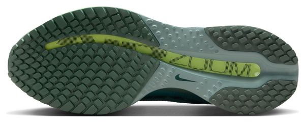 Scarpe da corsa Nike Pegasus Premium Verde Uomo