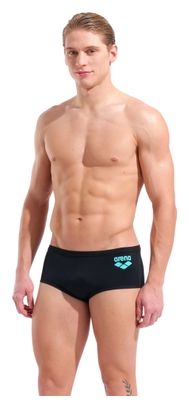 Arena One Big Logo Men's Black Swim Shorts