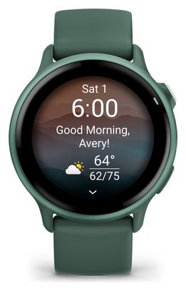 Montre Connectée Garmin Vívoactive 6 Vert Metallic Jasper