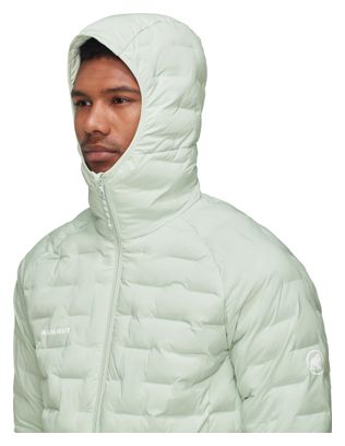 Mammut Sender In Kapjas Groen Man