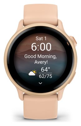 Montre Connectée Garmin Vívoactive 6 Rose Metallic Dawn