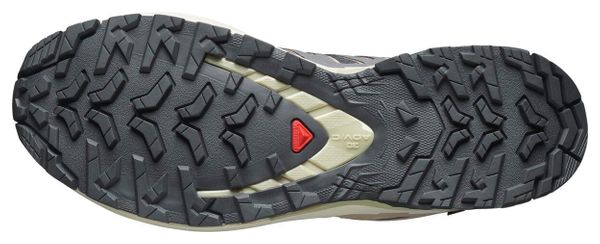 Scarpe Trail Salomon XA Pro 3D V9 GTX Viola/Beige Donna