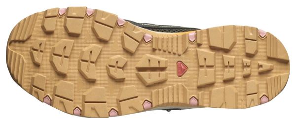 Chaussures Amphibies Salomon Techamphibian 5 Gris/Rose Femme