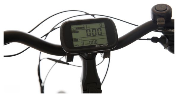 Bicyklet Carmen Elektrische Stadsfiets Shimano Tourney/Altus 7S 504 Wh 700 mm Blauw
