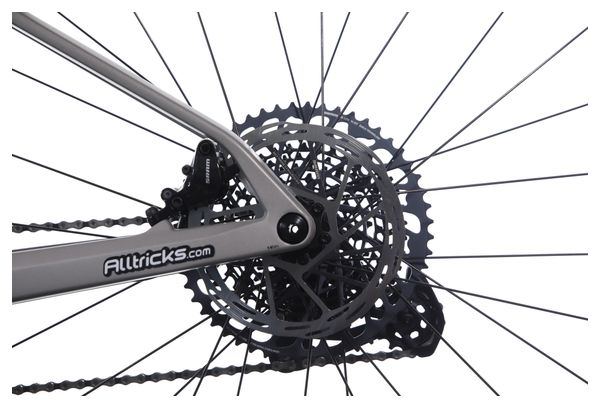 Producto renovado - BTT Semirrígida BMC Twostroke 01 Three Sram GX Eagle 12V 29'' Gris Arctic Plata Prisma 2023