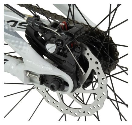 BMX Race Chase Edge Expert XL Grijs