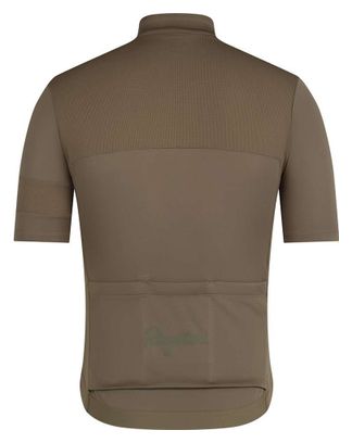 Maglia Rapha Brevet Element Khaki da uomo a maniche corte