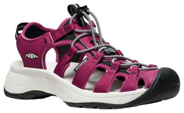 Women's Randonnée Sandales Keen Astoria West Rose 
