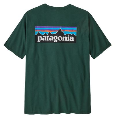 Maglietta Patagonia P-6 Logo Responsibili-Tee Verde Uomo