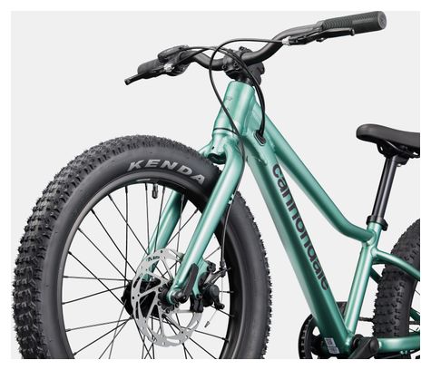 Mountain bike per bambini Cannondale Kids Trail Plus 20" Verde