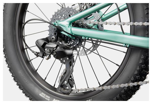 Mountain bike per bambini Cannondale Kids Trail Plus 20" Verde