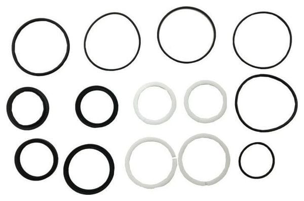 WSS - DVO  topez air can seal kit  1 set