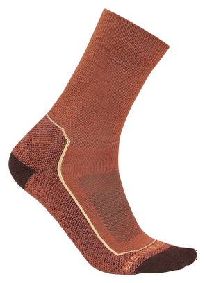 Chaussettes Femme Icebreaker Merino Hike+ Marron