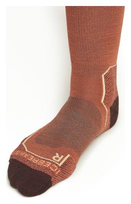 Chaussettes Femme Icebreaker Merino Hike+ Marron