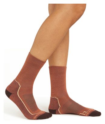 Chaussettes Femme Icebreaker Merino Hike+ Marron