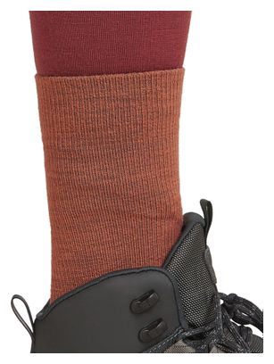 Chaussettes Femme Icebreaker Merino Hike+ Marron