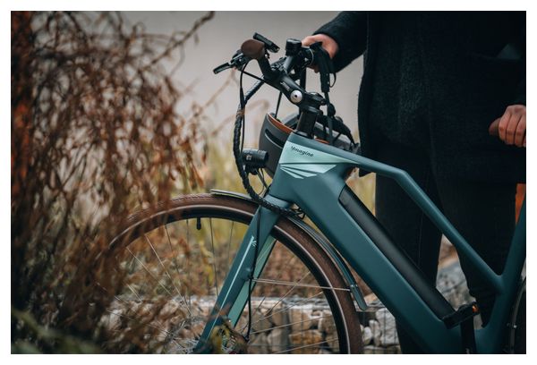 Vélo électrique Vadrouilleur 21.1 - Full carbone - Autonomie 100Km - Bleu